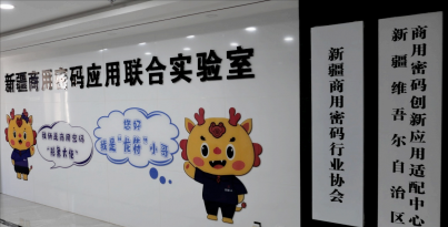 最快仅需20分钟，“华西造”3D-HSP打印系统进驻新疆